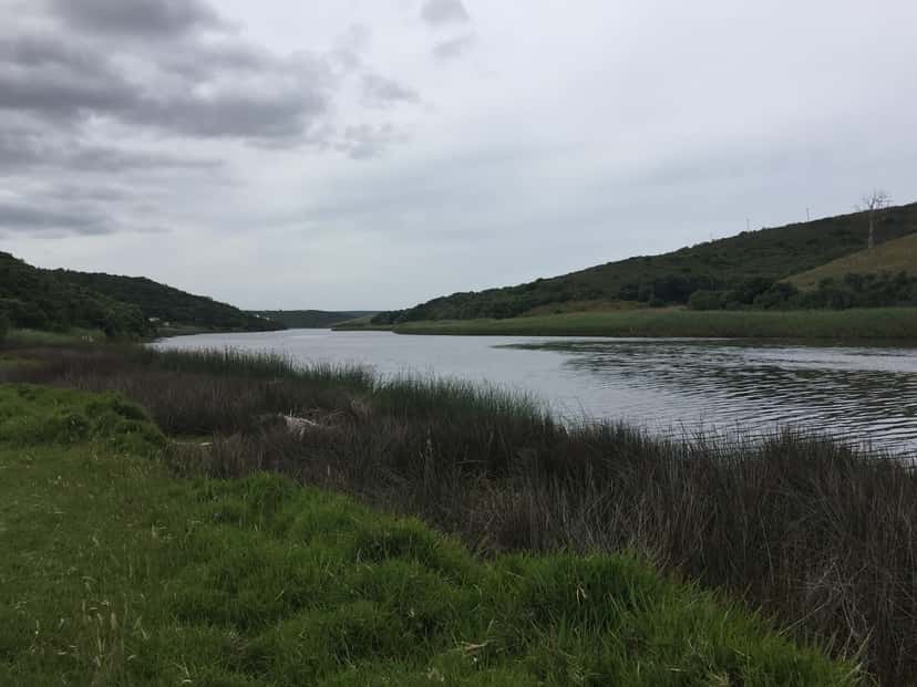 A wide bend of the Goukou River between green hills under a grey sky, reeds along the near bank.