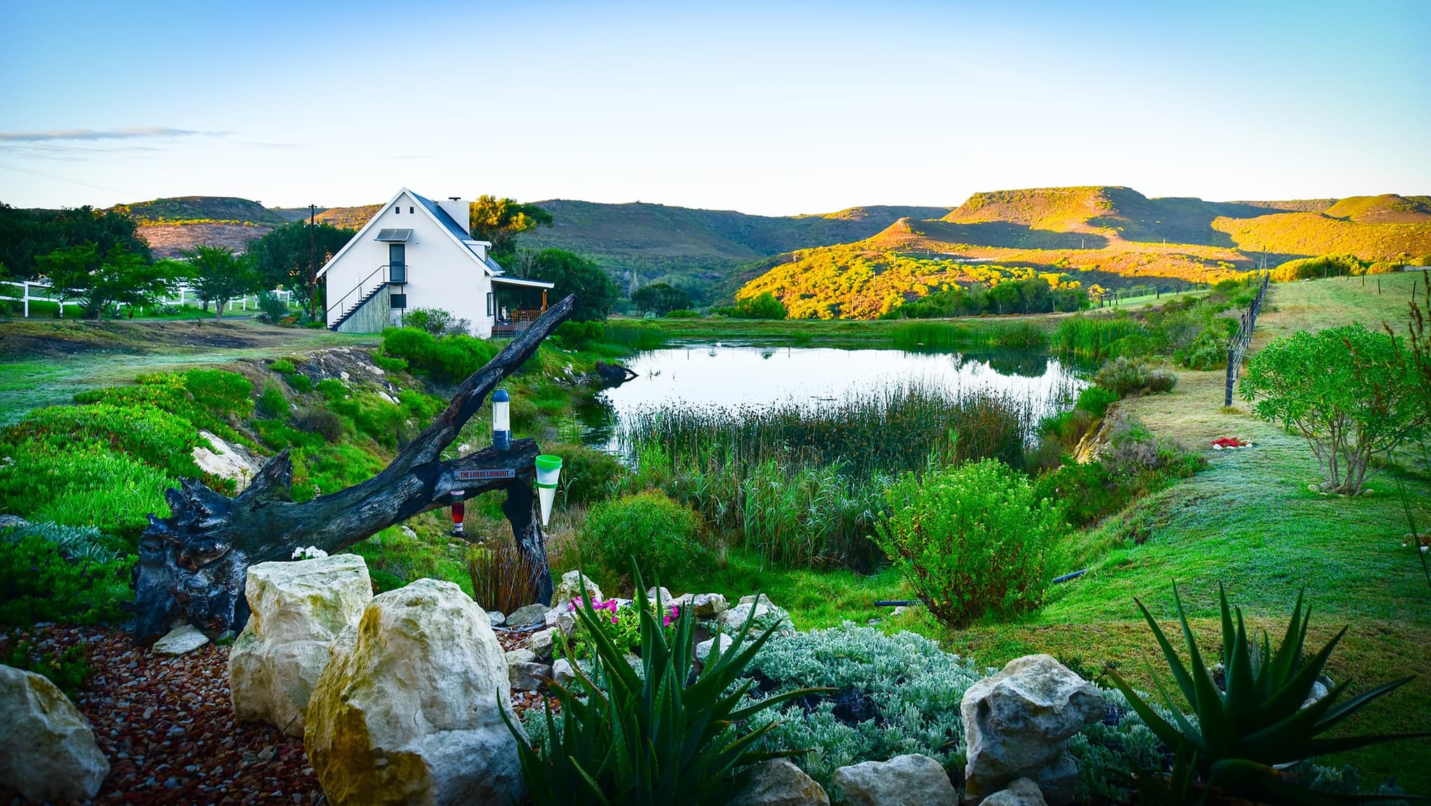 A white farmhouse on the slope above the farm dam, reed beds and aloes in front and sunlit hills behind.