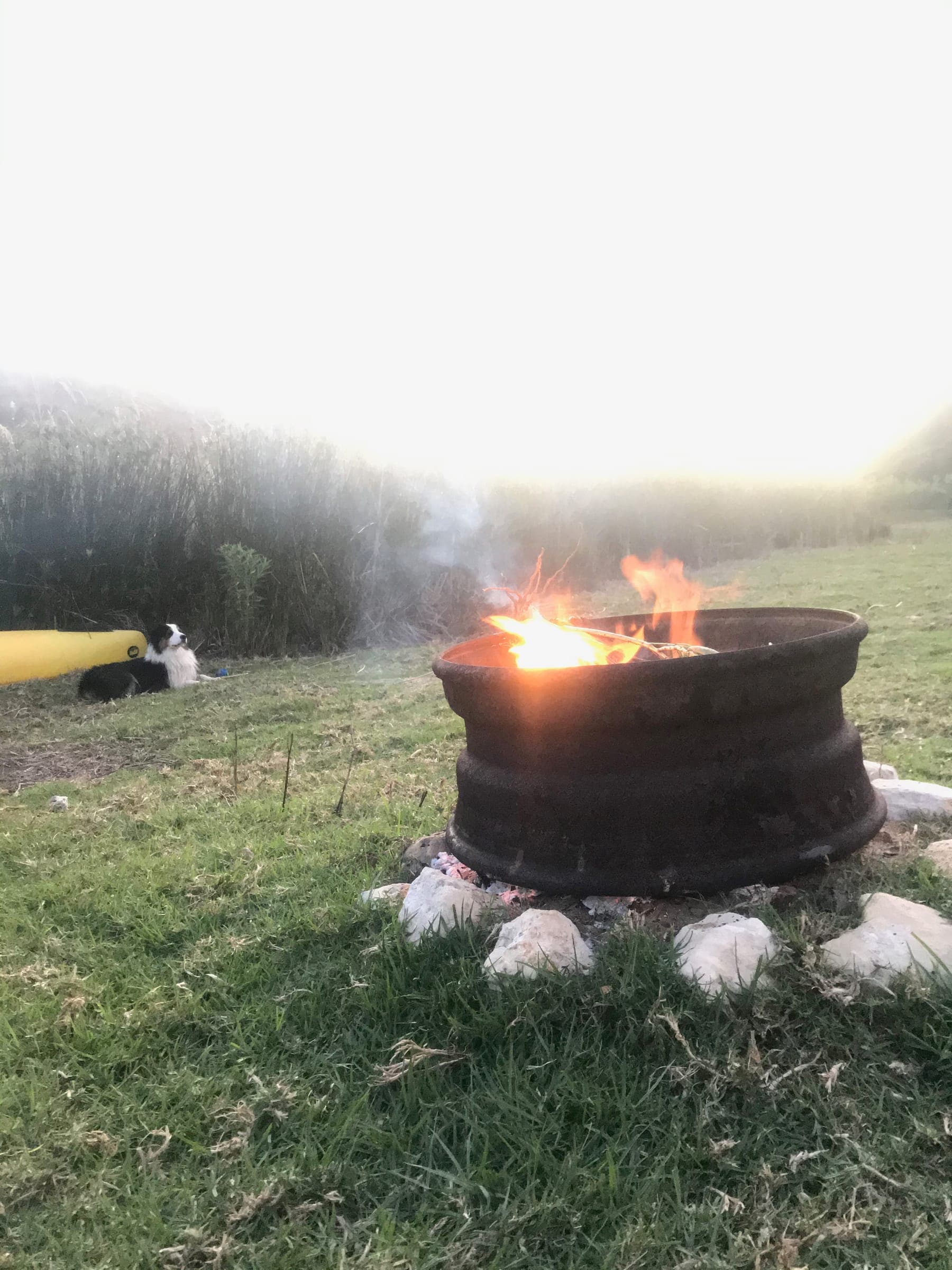 The firepit on the lawn beside the Goukou, a canoe and one of the farm dogs nearby.
