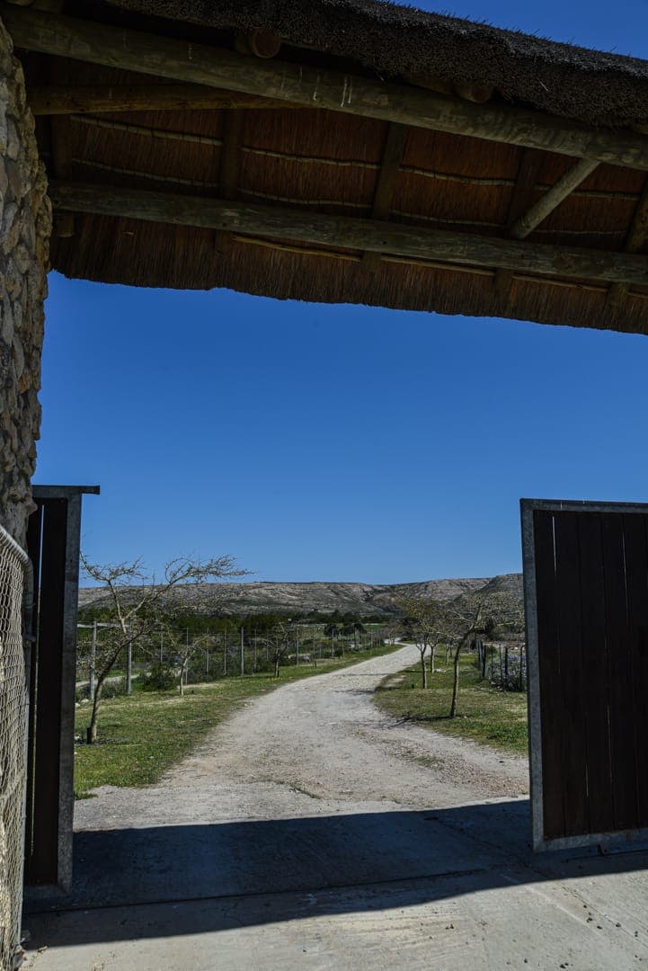 Looking out through the thatched farm gatehouse down the gravel drive to the hills.