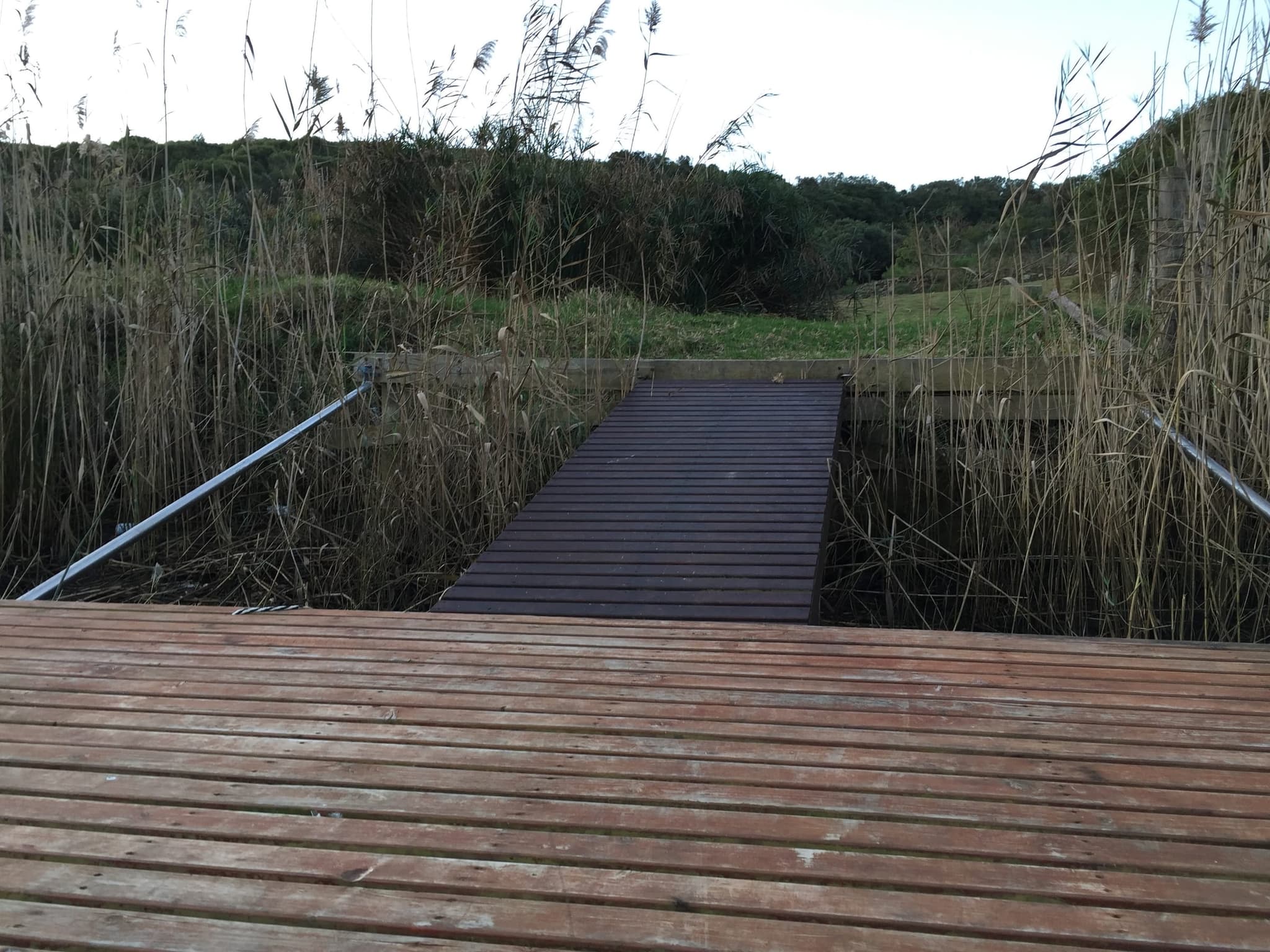 The wooden walkway through the reeds down to the farm jetty.