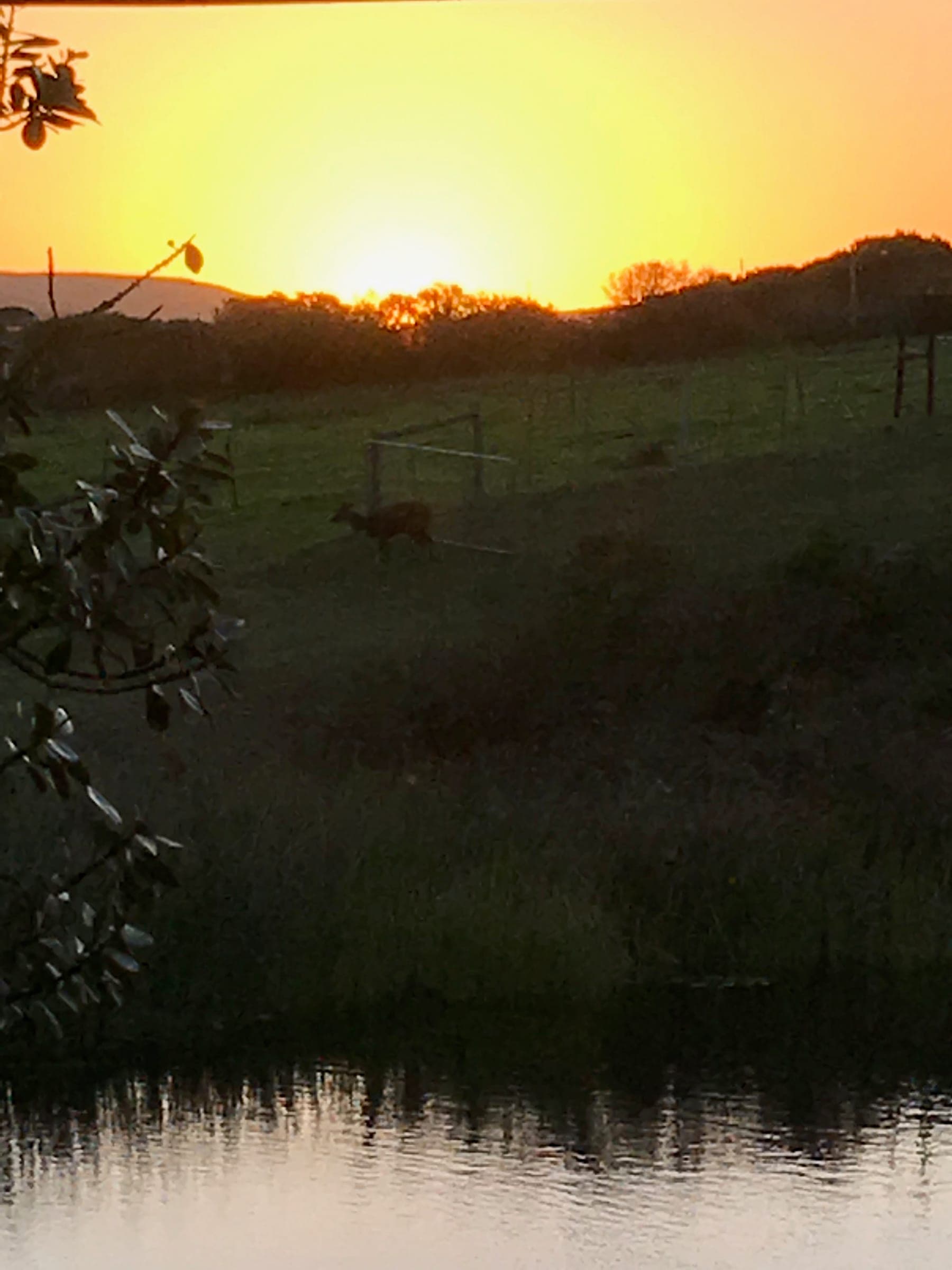 The sun setting behind the hills over the farm pasture and pond.