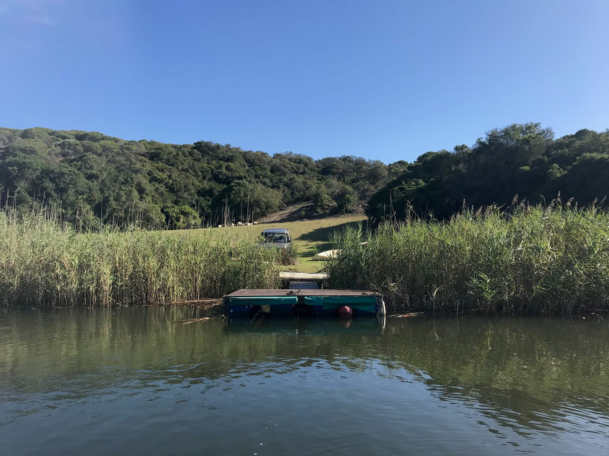 The floating pontoon among the reeds on the Goukou, below the wooded far bank.