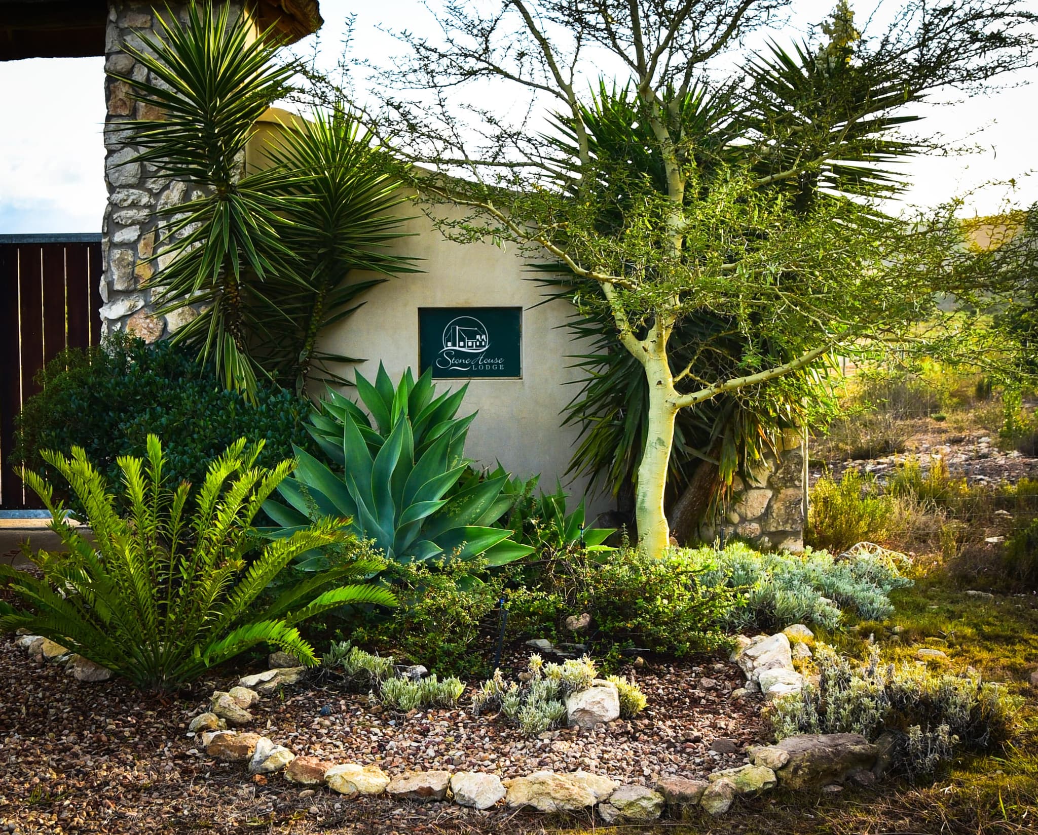 The entrance to Stonehouse Lodge framed by aloes, palms and a stone wall.
