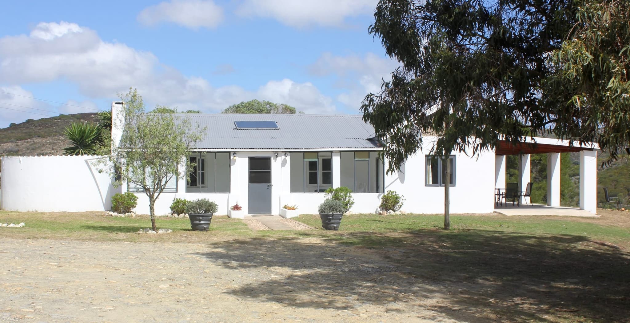 White House Cottage, the 1920 farmhouse, behind young olive trees on its gravel forecourt.