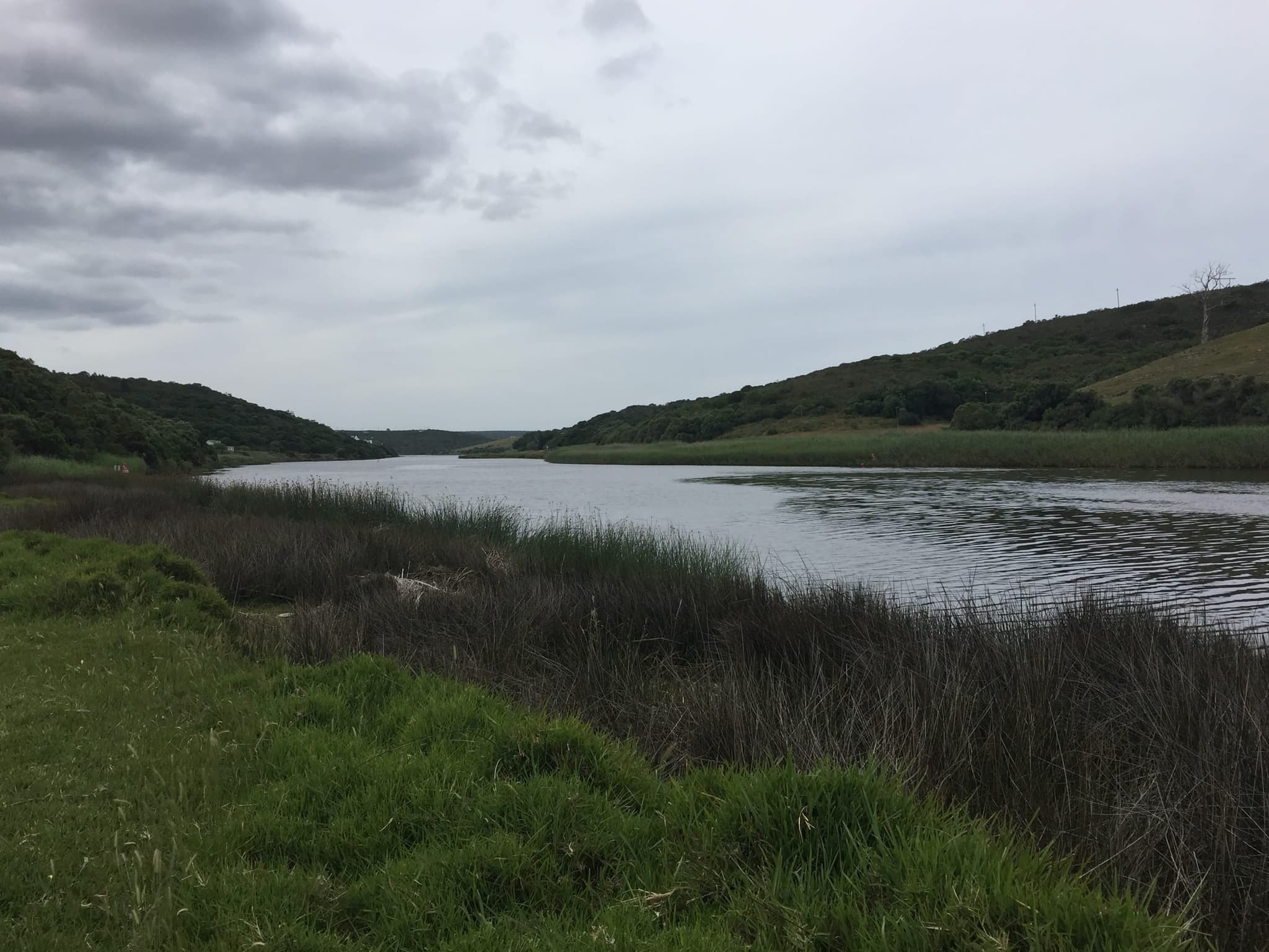 A wide bend of the Goukou River between green hills under a grey sky, reeds along the near bank.