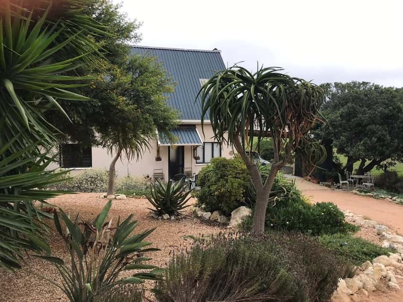 Grysbok Cottage behind a garden of aloes, palms and indigenous shrubs.