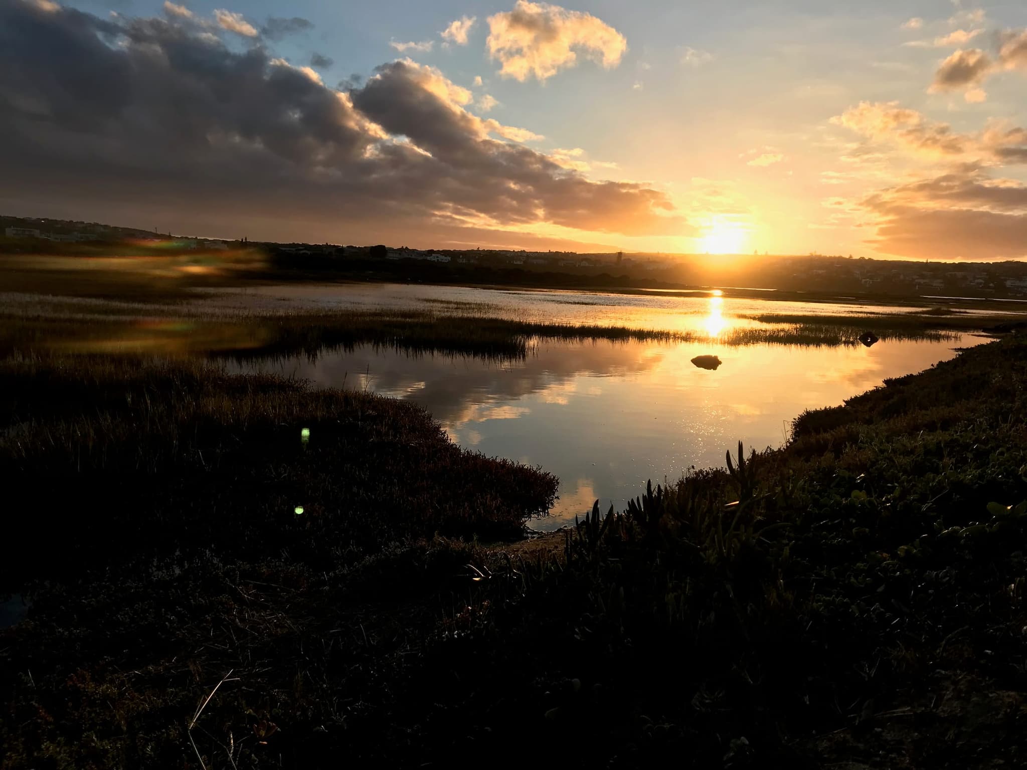 The sun setting over the reed marsh and channels of the Goukou, with clouds lit gold.