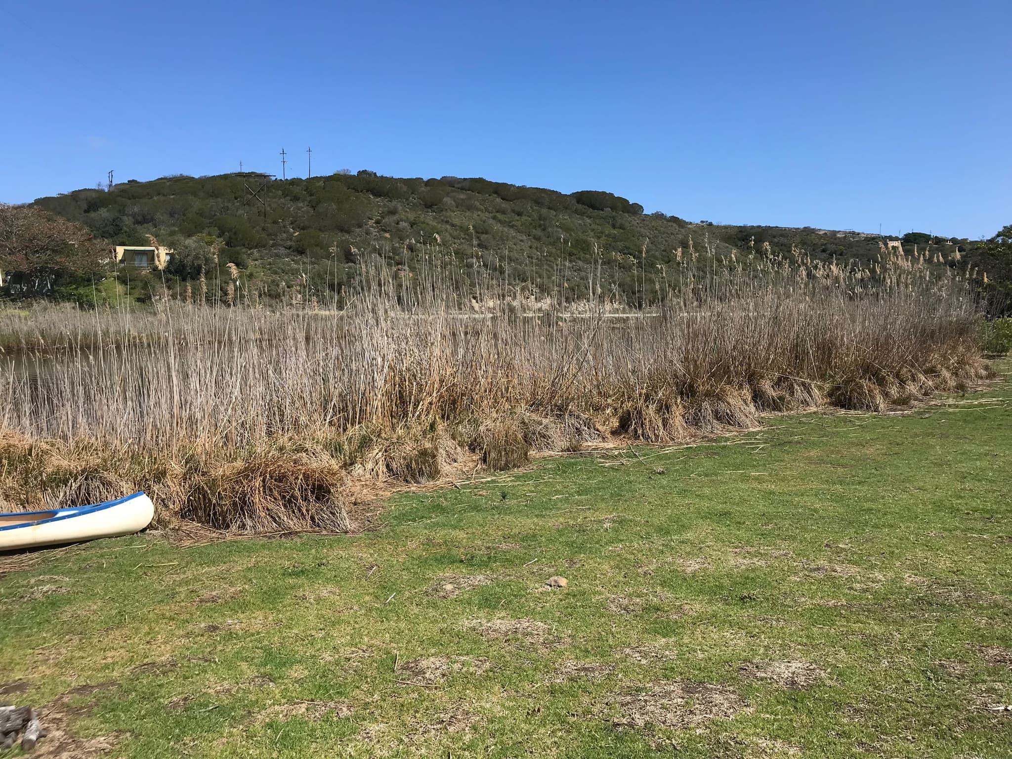 The lawn and reed beds on the Goukou river bank, a canoe pulled up on the grass.