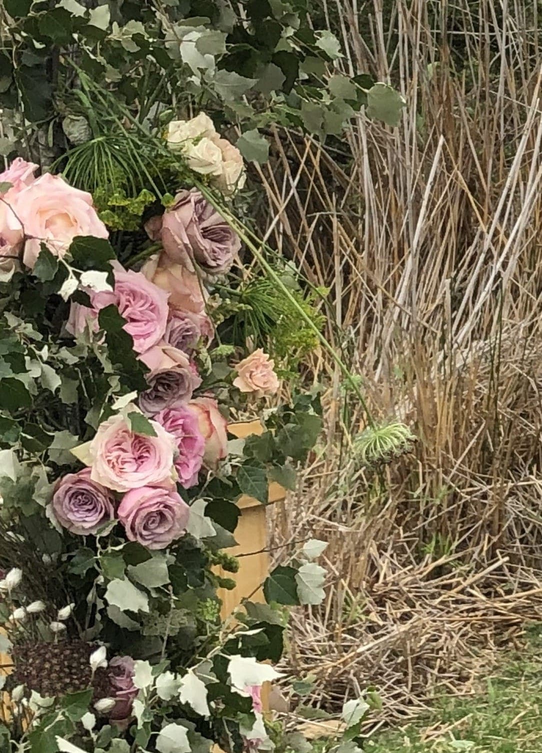 A floral arch of roses and greenery on the riverside lawn at Stonehouse, set up for a wedding ceremony.