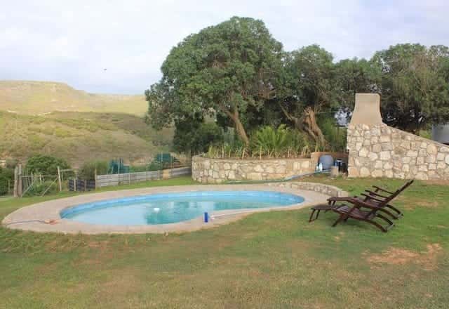 The private pool at White House Cottage, with loungers, a stone braai chimney and milkwood trees.